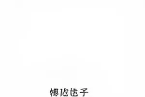 《抢答器的最后一秒》封面：倒计时屏跳到最后一秒的瞬间